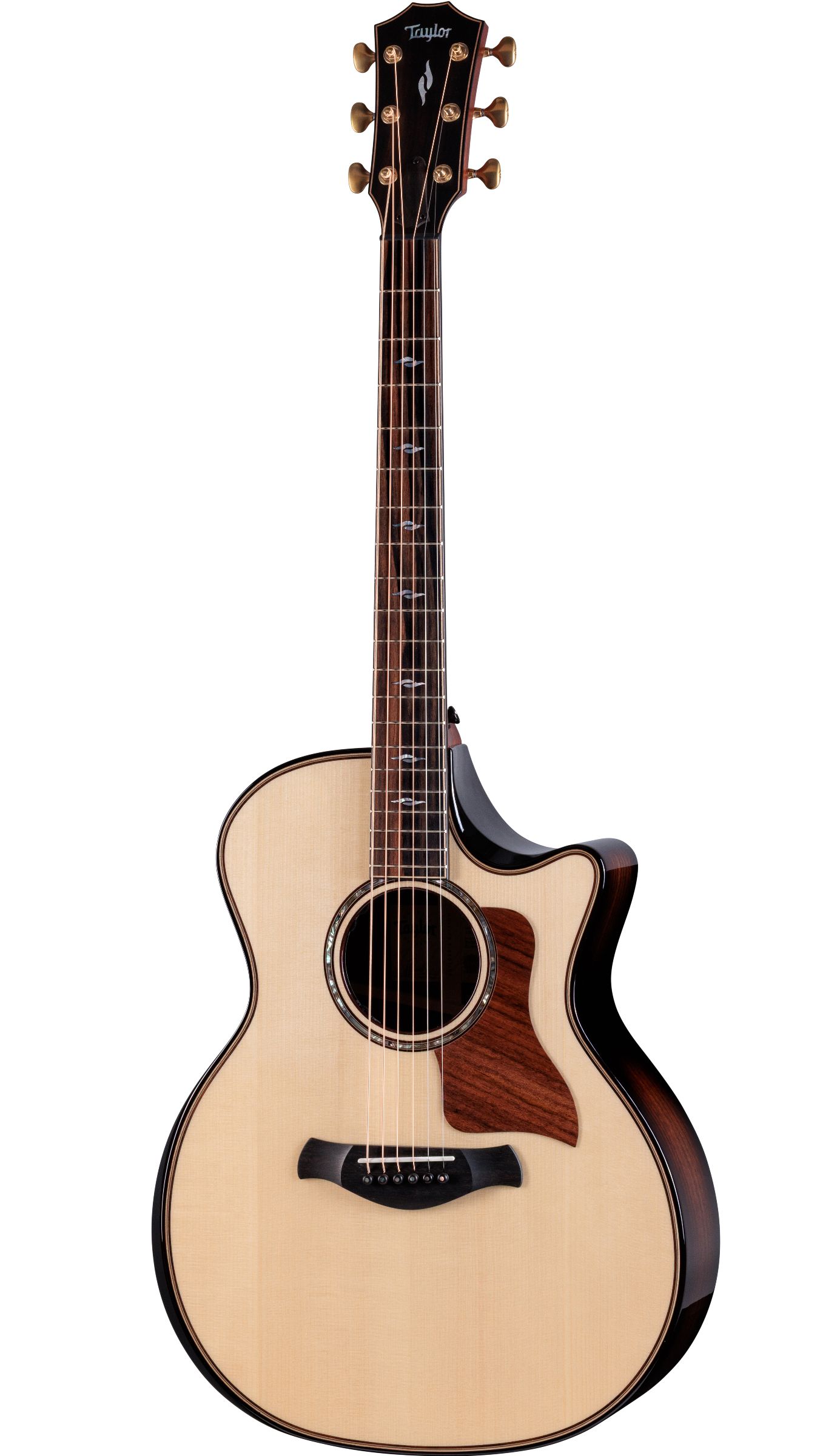 TAYLOR Builder's Edition 814ce,RW/Adirondack,2026