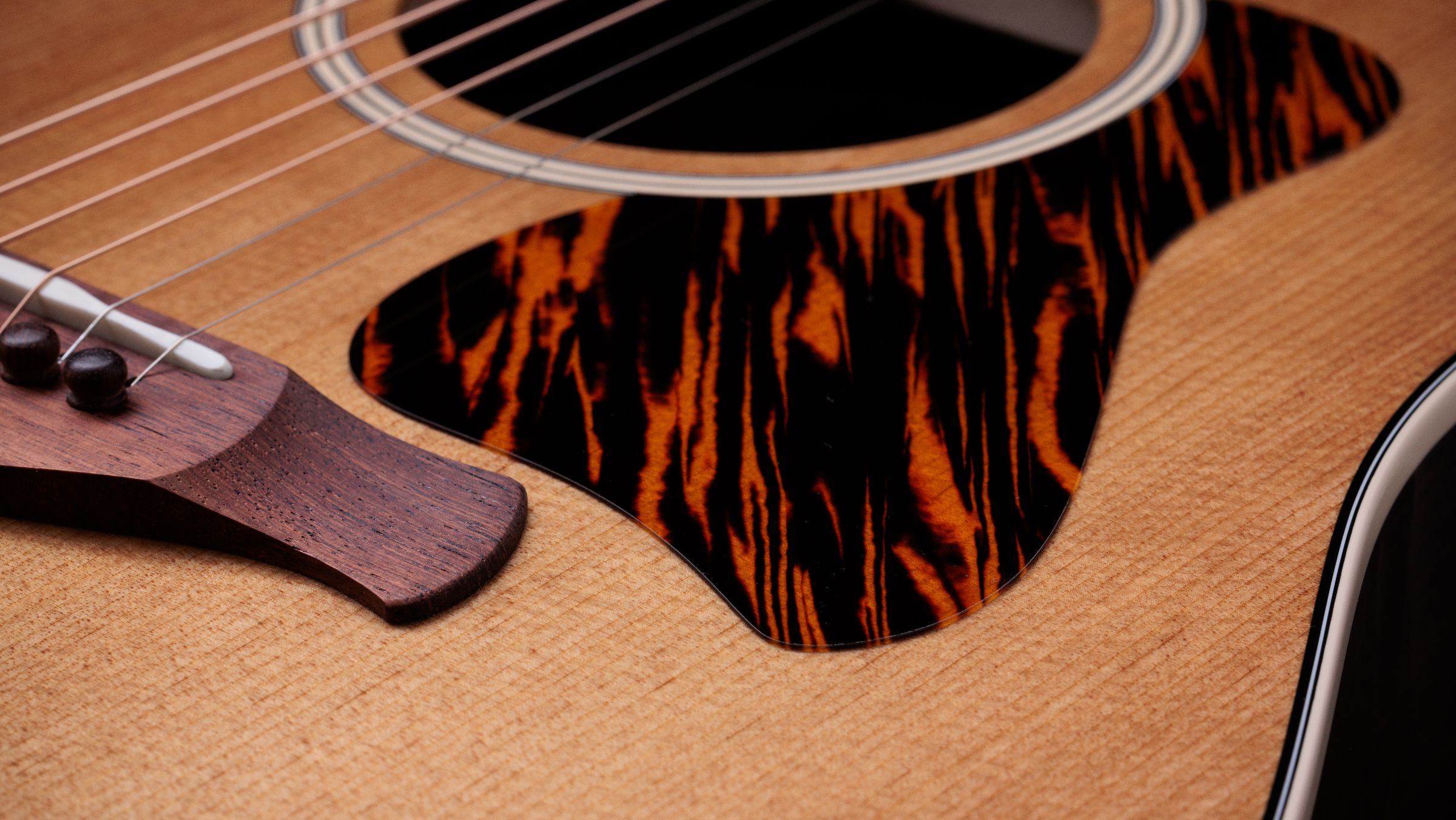 TAYLOR Gold Label 710e